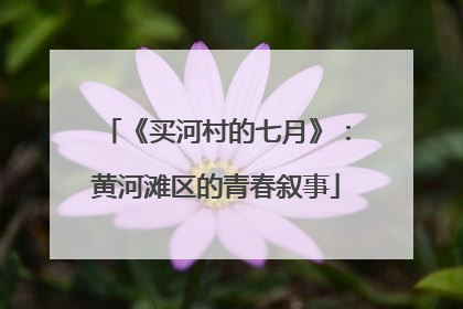 《买河村的七月》：黄河滩区的青春叙事
