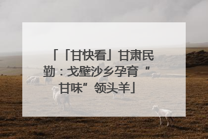 「甘快看」甘肃民勤：戈壁沙乡孕育“甘味”领头羊