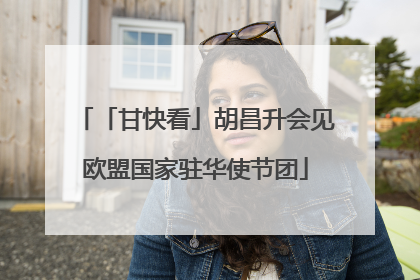 「甘快看」胡昌升会见欧盟国家驻华使节团