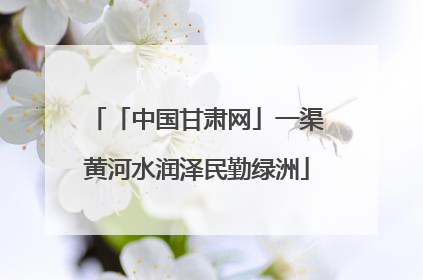 「中国甘肃网」一渠黄河水润泽民勤绿洲