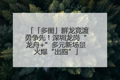 「多图」群龙竞渡勇争先！深圳龙岗“龙舟+”多元新场景火爆“出圈”