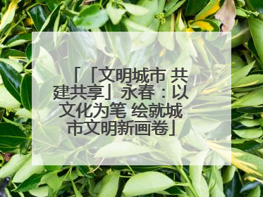 「文明城市 共建共享」永春：以文化为笔 绘就城市文明新画卷