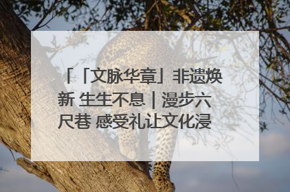 「文脉华章」非遗焕新 生生不息｜漫步六尺巷 感受礼让文化浸润的“巷”往生活