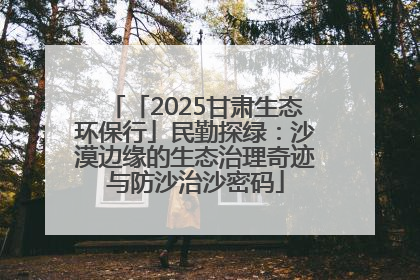 「2025甘肃生态环保行」民勤探绿：沙漠边缘的生态治理奇迹与防沙治沙密码
