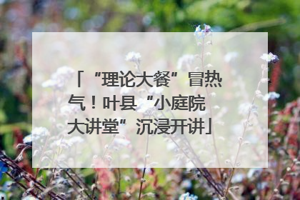 “理论大餐”冒热气！叶县“小庭院 大讲堂”沉浸开讲