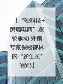 “硬科技+跨境电商”双轮驱动 外籍专家探秘碑林的“逆生长”密码