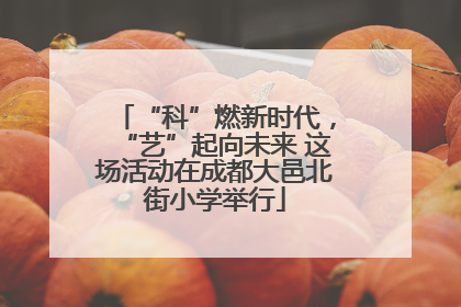 “科”燃新时代，“艺”起向未来 这场活动在成都大邑北街小学举行