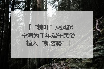 “粽叶”乘风起 宁海为千年端午民俗植入“新姿势”
