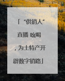 “供销人” 直播 吆喝，为土特产开辟数字销路