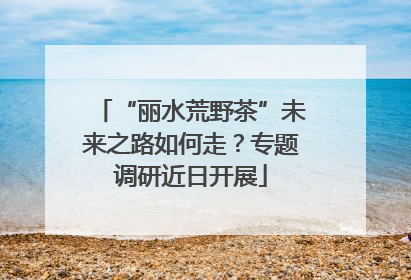 “丽水荒野茶”未来之路如何走？专题调研近日开展
