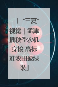 “三夏”视觉｜孟津插秧季农机穿梭 高标准农田披绿装