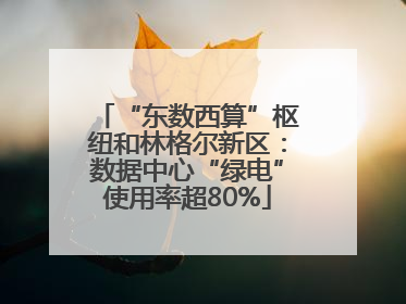 “东数西算”枢纽和林格尔新区：数据中心“绿电”使用率超80%