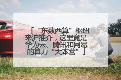 “东数西算”枢纽来沪推介，这里竟是华为云、腾讯和网易的算力“大本营”