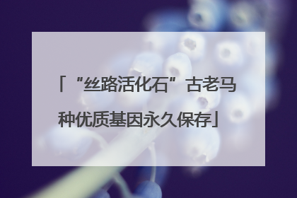 “丝路活化石”古老马种优质基因永久保存