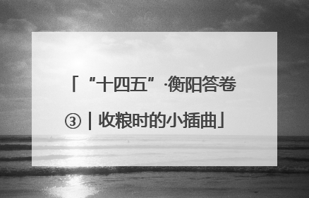 “十四五”·衡阳答卷③｜收粮时的小插曲