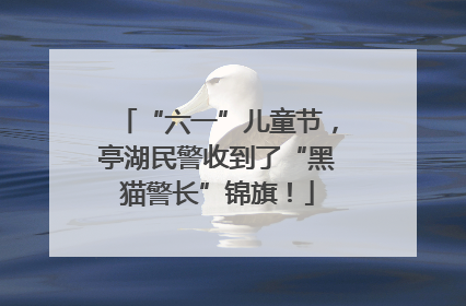 “六一”儿童节，亭湖民警收到了“黑猫警长”锦旗！