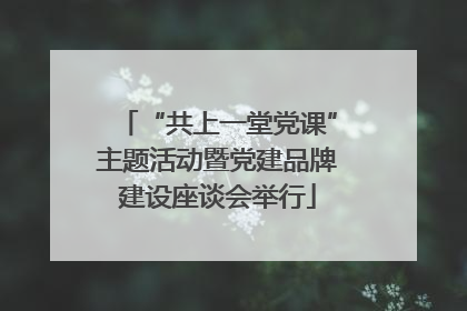 “共上一堂党课”主题活动暨党建品牌建设座谈会举行