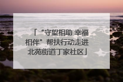 “守望相助 幸福相伴”帮扶行动走进北苑街道丁家社区