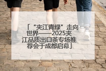 “夹江青绿”走向世界——2025夹江品质出口茶专场推荐会于成都启幕