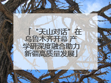 “天山对话”在乌鲁木齐开幕 产学研深度融合助力新疆高质量发展