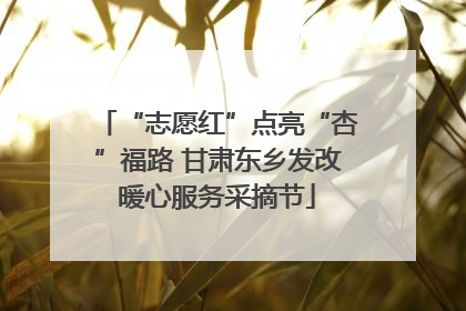 “志愿红”点亮“杏”福路 甘肃东乡发改暖心服务采摘节