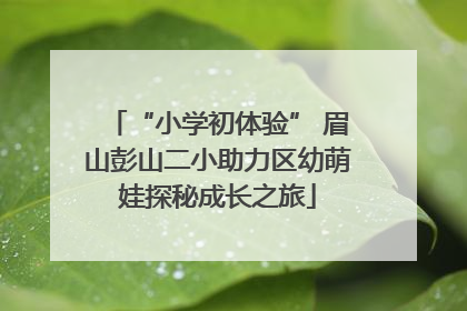 “小学初体验” 眉山彭山二小助力区幼萌娃探秘成长之旅