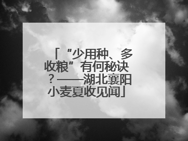 “少用种、多收粮”有何秘诀？——湖北襄阳小麦夏收见闻