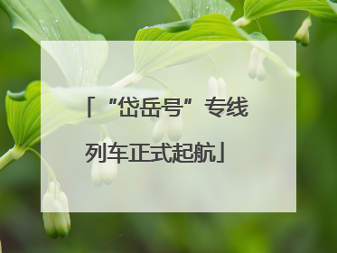 “岱岳号”专线列车正式起航