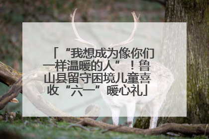 “我想成为像你们一样温暖的人”！鲁山县留守困境儿童喜收“六一”暖心礼