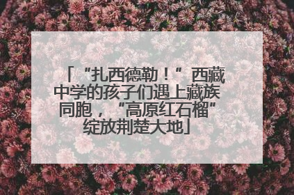 “扎西德勒！”西藏中学的孩子们遇上藏族同胞，“高原红石榴”绽放荆楚大地
