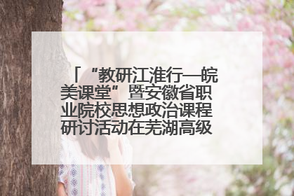 “教研江淮行—皖美课堂”暨安徽省职业院校思想政治课程研讨活动在芜湖高级职业技术学校举行