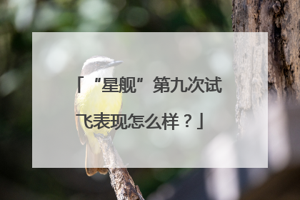 “星舰”第九次试飞表现怎么样？