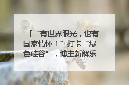 “有世界眼光，也有国家情怀！”打卡“绿色硅谷”，博主新解乐山｜网络名人四川行