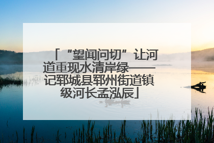 “望闻问切”让河道重现水清岸绿——记郓城县郓州街道镇级河长孟泓辰