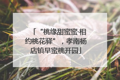 “桃缘甜蜜蜜·相约桃花驿”，孝南杨店镇早蜜桃开园