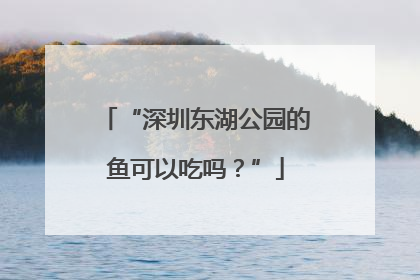 “深圳东湖公园的鱼可以吃吗？”