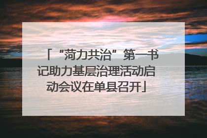“菏力共治”第一书记助力基层治理活动启动会议在单县召开