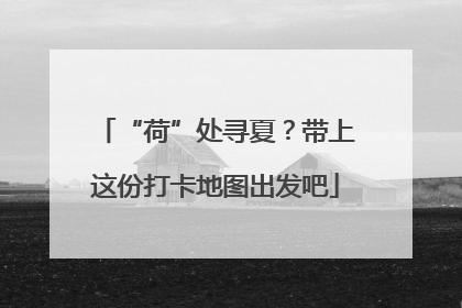 “荷”处寻夏？带上这份打卡地图出发吧