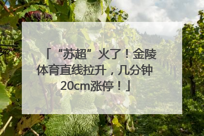 “苏超”火了！金陵体育直线拉升，几分钟20cm涨停！