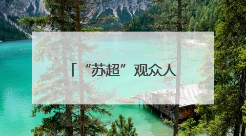 “苏超”观众人数仅隔两周破4万大关，17岁高中生球员独中二元