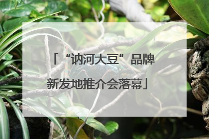 “讷河大豆”品牌新发地推介会落幕