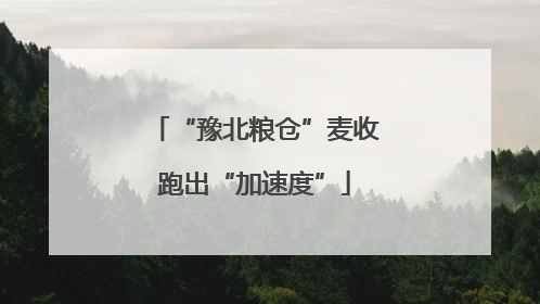 “豫北粮仓”麦收跑出“加速度”