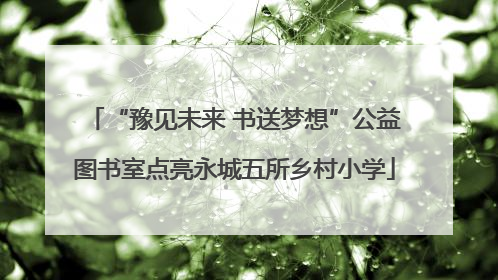 “豫见未来 书送梦想”公益图书室点亮永城五所乡村小学