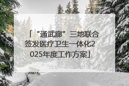 “通武廊”三地联合签发医疗卫生一体化2025年度工作方案