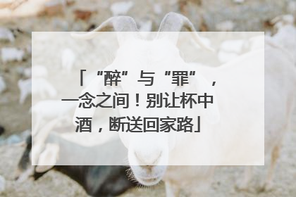 “醉”与“罪”，一念之间！别让杯中酒，断送回家路