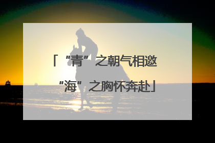 “青”之朝气相邀 “海”之胸怀奔赴
