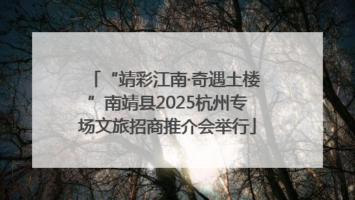 “靖彩江南·奇遇土楼”南靖县2025杭州专场文旅招商推介会举行