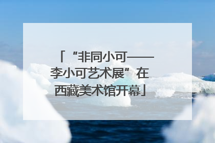 “非同小可——李小可艺术展”在西藏美术馆开幕