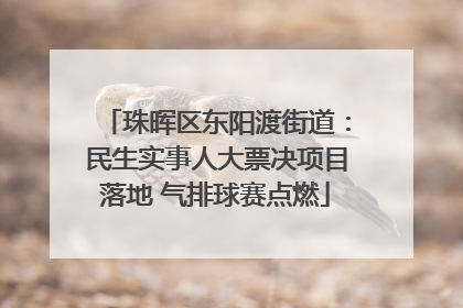 珠晖区东阳渡街道：民生实事人大票决项目落地 气排球赛点燃