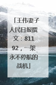 王伟妻子人民日报撰文：81192，一架永不停航的战机